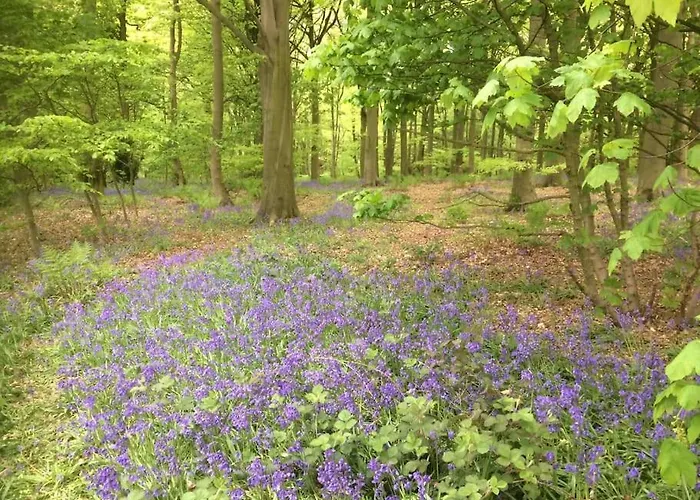 Beck Hill In Brandsby Semesterbostad *