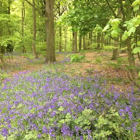 Beck Hill In Brandsby Holiday home *